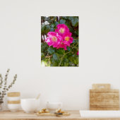 Poster Photo de roses (Cuisine)