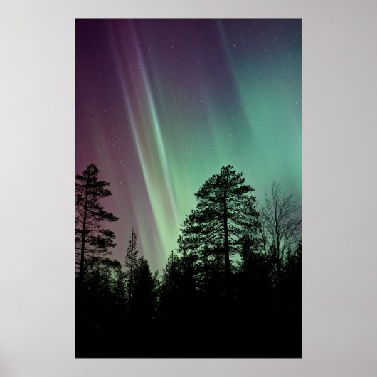 POSTER PHOTO DE SILHOUETTE D'AURORA BOREALIS (Devant)