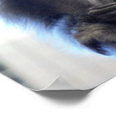 Poster Photo de singe (Coin)