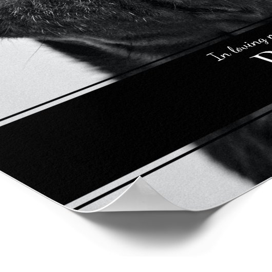 Poster Photo de souvenir de chien de compagnie moderne en (Coin)