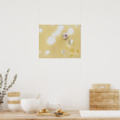 Poster Photo de studio d'une souris blanche regardant à t (Cuisine)