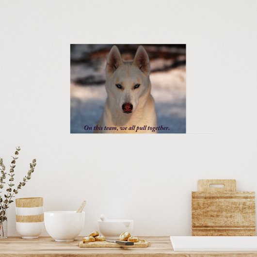 Poster photo de Teamwork (Cuisine)