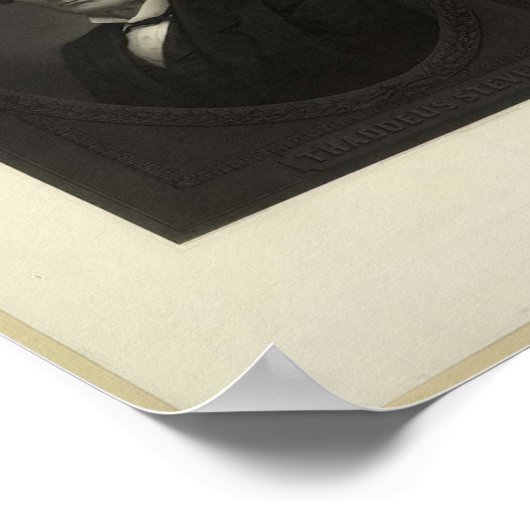 Poster Photo de Thaddeus Stevens en 1867 (Coin)