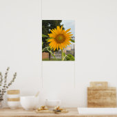 Poster photo de tournesol (Cuisine)