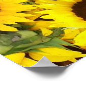 Poster photo de tournesol (Coin)
