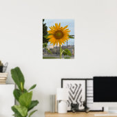 Poster photo de tournesol (Bureau à domicile)