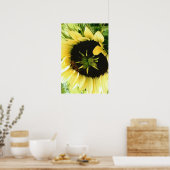 Poster photo de tournesol (Cuisine)