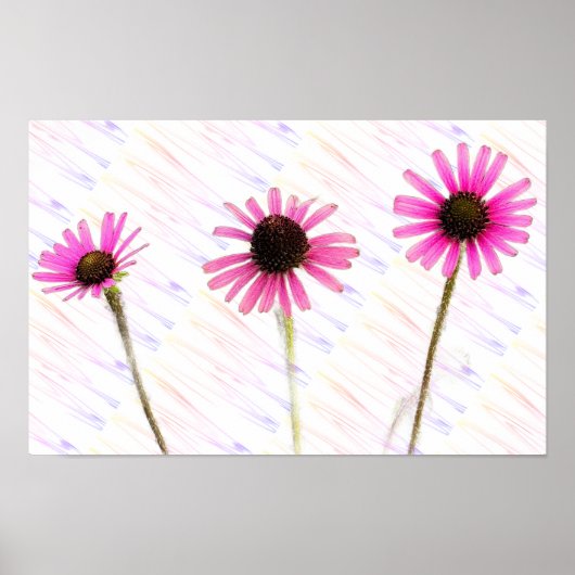 Poster photo de violet confleur (Devant)