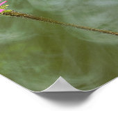 Poster photo de violet confleur (Coin)