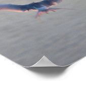 Poster Photo de vol d'oiseaux (Coin)