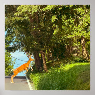 Poster photo Deer Jumping