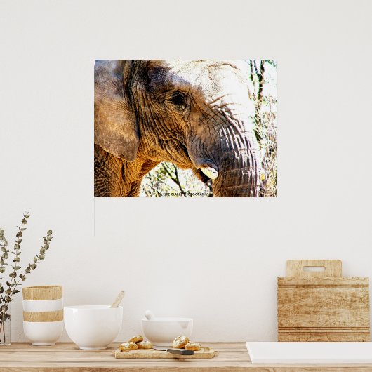 Poster Photo d'éléphant (Cuisine)