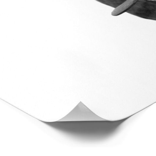 Poster Photo d'élevage de vache noir et blanc (Coin)