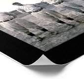 Poster Photo des cardinaux de Saint-Louis 1909 (Coin)