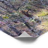 Poster photo des feuilles d'automne (Coin)