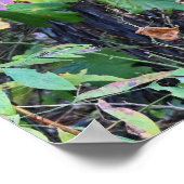 Poster photo des feuilles d'automne (Coin)