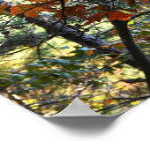 Poster photo des feuilles d'automne