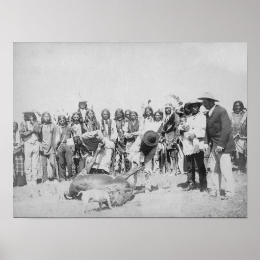 Poster Photo des Indiens Lakotas Skinning Cattle (Devant)