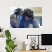 Poster Photo des singes (Bureau à domicile)