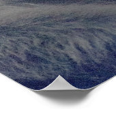 Poster Photo des singes (Coin)