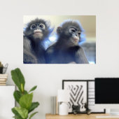 Poster Photo des singes (Bureau à domicile)