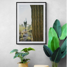 Poster photo Desert Cactus