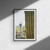 Poster photo Desert Cactus