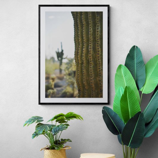 Poster photo Desert Cactus