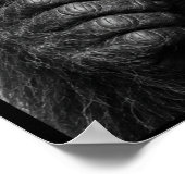 Poster Photo d'identité de Bigfoot (Coin)