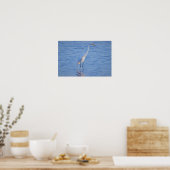 Poster Photo d'oiseau héron (Cuisine)