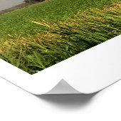 Poster Photo double arc-en-ciel (Coin)