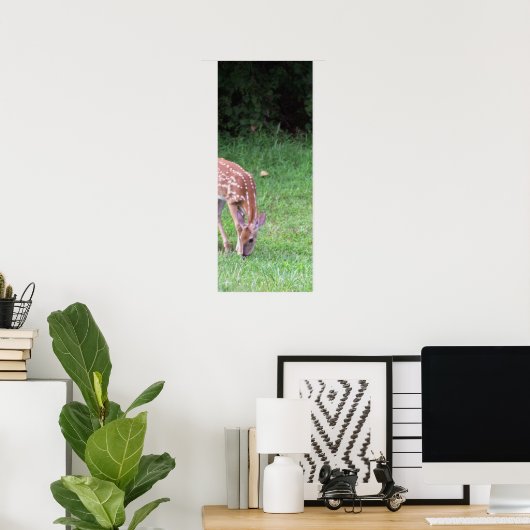 Poster photo du cerf (Bureau à domicile)