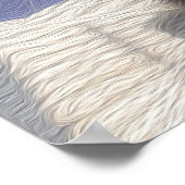 Poster photo du chat Maine Coon (Coin)