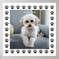 Photo du chien, nom, Mon meilleur ami, Empreintes