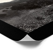 Poster Photo du Flamant rose Porto Rico 1914 (Coin)