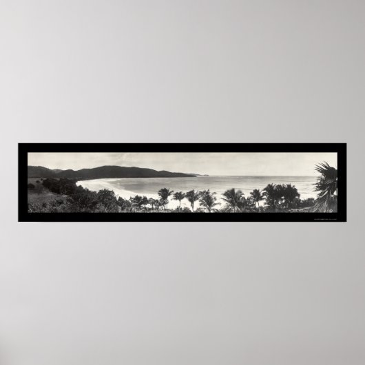 Poster Photo du Flamant rose Porto Rico 1914 (Devant)