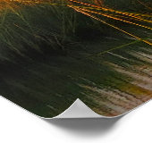 Poster photo du marais de Pawleys Island (Coin)