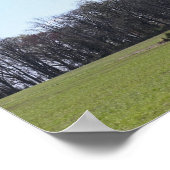 Poster photo du paysage (Coin)