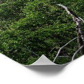 Poster photo du paysage (Coin)