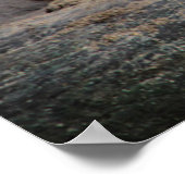 Poster photo du tigre en colère (Coin)