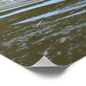 Poster photo Ducklings (Coin)