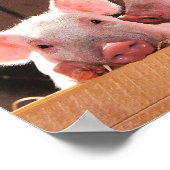 Poster Photo d'un animal de porcelets roses mignons (Coin)