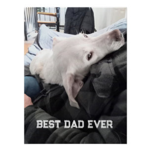 Poster Photo d'un beau chien blanc avec papa pour la fête