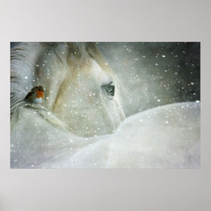 Poster Photo d'un cheval blanc et d'un oiseau en hiver