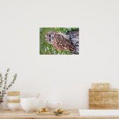 Poster Photo d'un hibou (Cuisine)