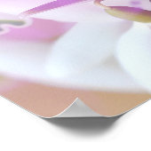 Poster Photo d'un joli Crocus de printemps violet (Coin)