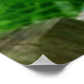 Poster Photo d'un mignon écureuil dans un jardin (Coin)