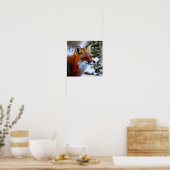 Poster Photo d'un Renard Rouge dans la neige (Cuisine)
