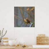 Poster Photo d'une Carolina Wren amicale. (Cuisine)