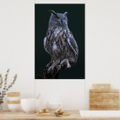 Poster photo Eagle Owl -24x36 -plus petit disponib (Cuisine)